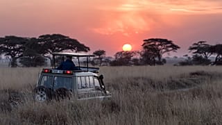 Africa is best known for being a safari hotspot. But where are the other options?