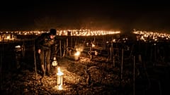 Un viticultor de la finca vinícola Daniel-Etienne Defaix enciende velas antiheladas en su viñedo cerca de Chablis, Borgoña, Francia, el 7 de abril de 2021.