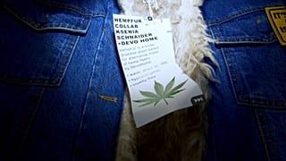 The cruelty-free biodegradable fur is made from hemp fibres. 