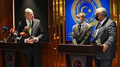 ΔΕΝΔΙΑΣ Ν ΕΠΙΣΚΕΨΗ ΣΤΗ ΒΕΓΓΑΖΗ ΤΗΣ ΛΙΒΥΗΣ