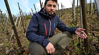Winzer Michaël Gerin betrachtet das Ausmaß der Zerstörung