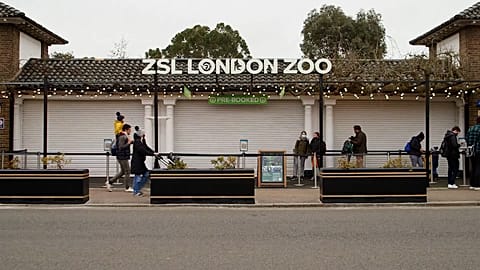 Visitors join queue at ZSL London Zoo entrance