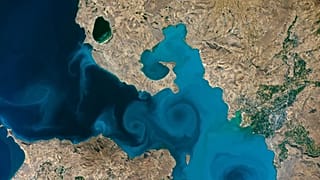Yarışmaya katılan 32 fotoğraf için 930 binden fazla oy kullanıldığı kaydedildi