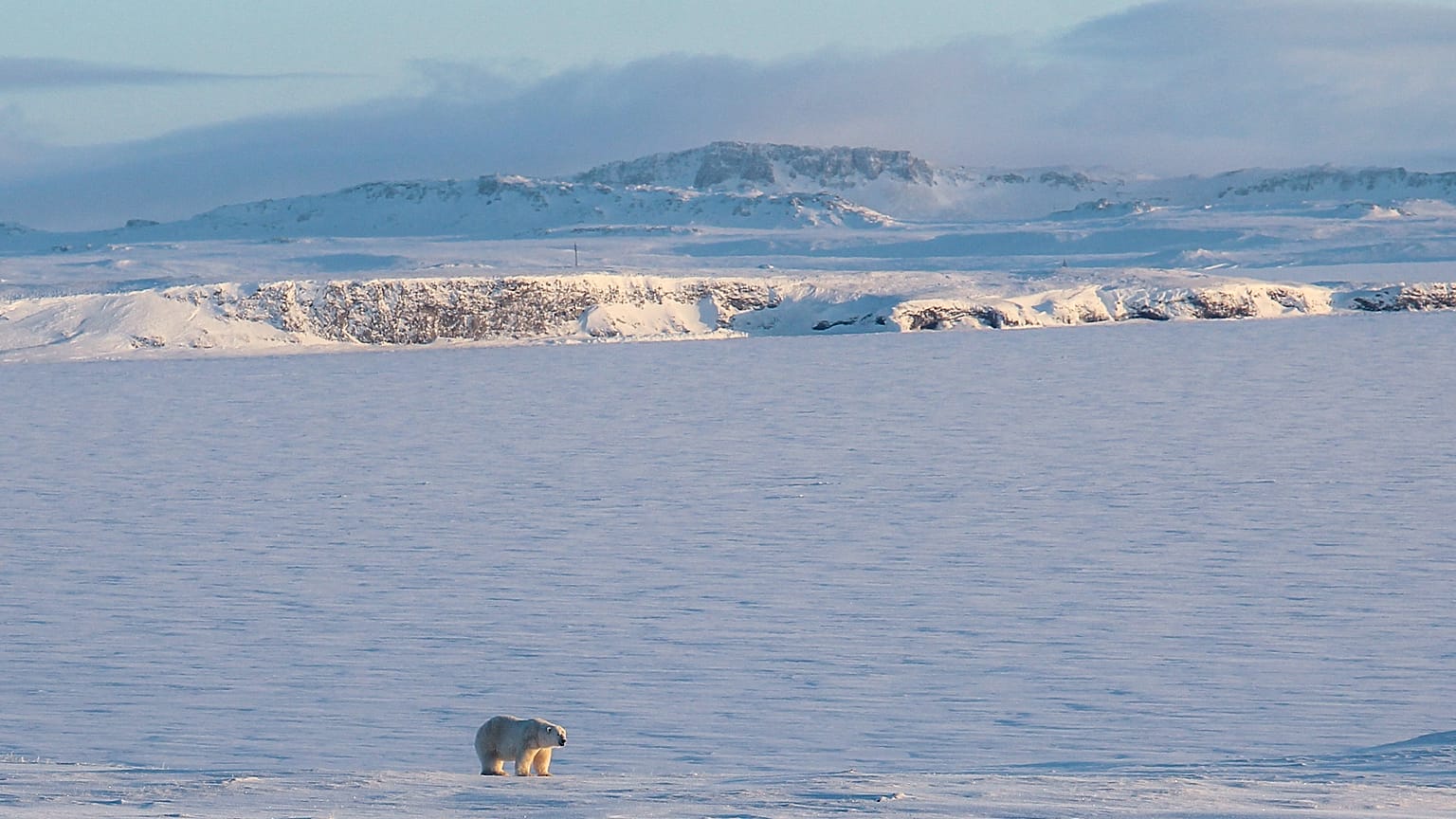 L’UE cherche sa place géostratégique dans l’Arctique