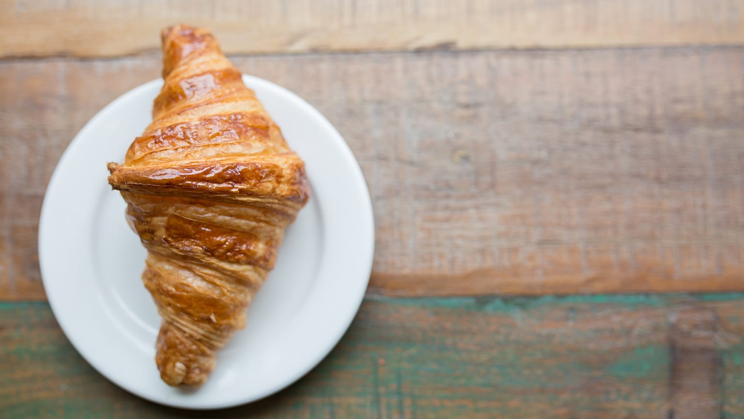 Authorities said in a Facebook post that a woman called them to report a creature sitting in the tree across from her house.