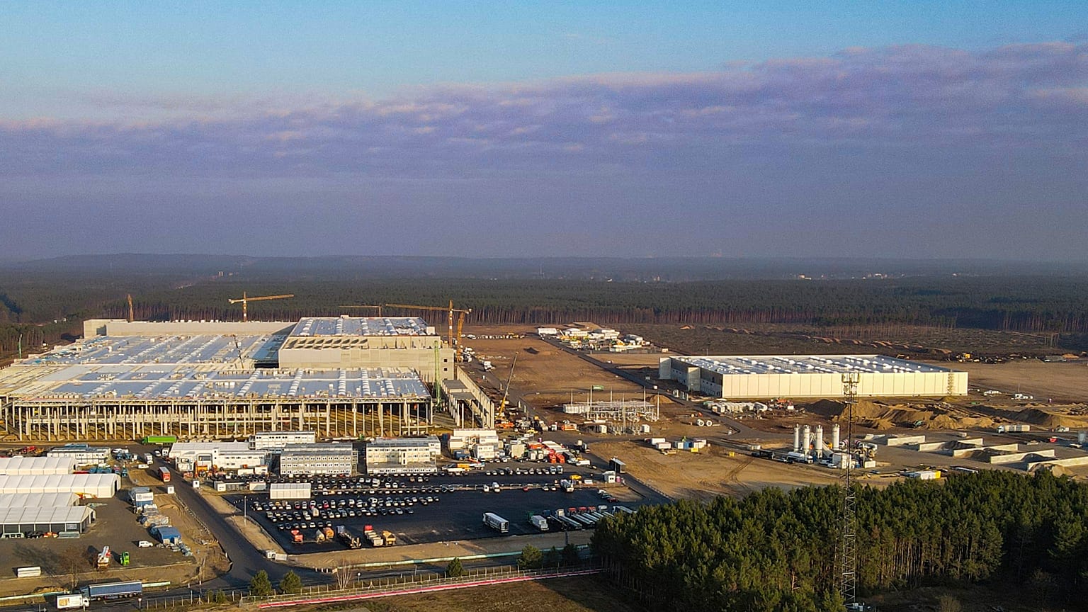 Un tribunal alemán dictaminó que Tesla tenía que dejar de talar árboles en algunas partes del terreno donde está construyendo su primera fábrica de coches eléctricos en Europa