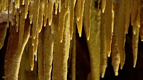 Dripping stalactites.