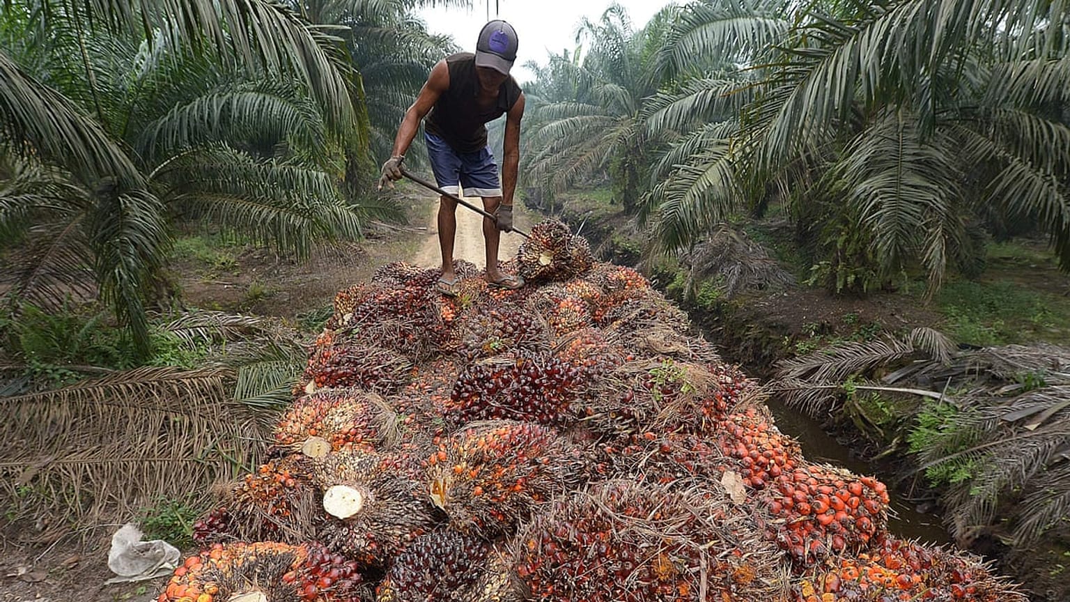 Adek Berry/AFP