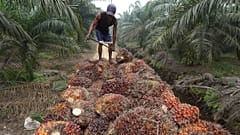 Adek Berry/AFP