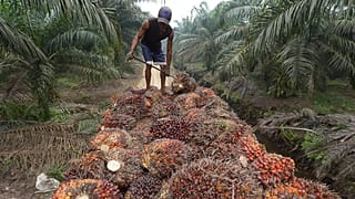 Adek Berry/AFP