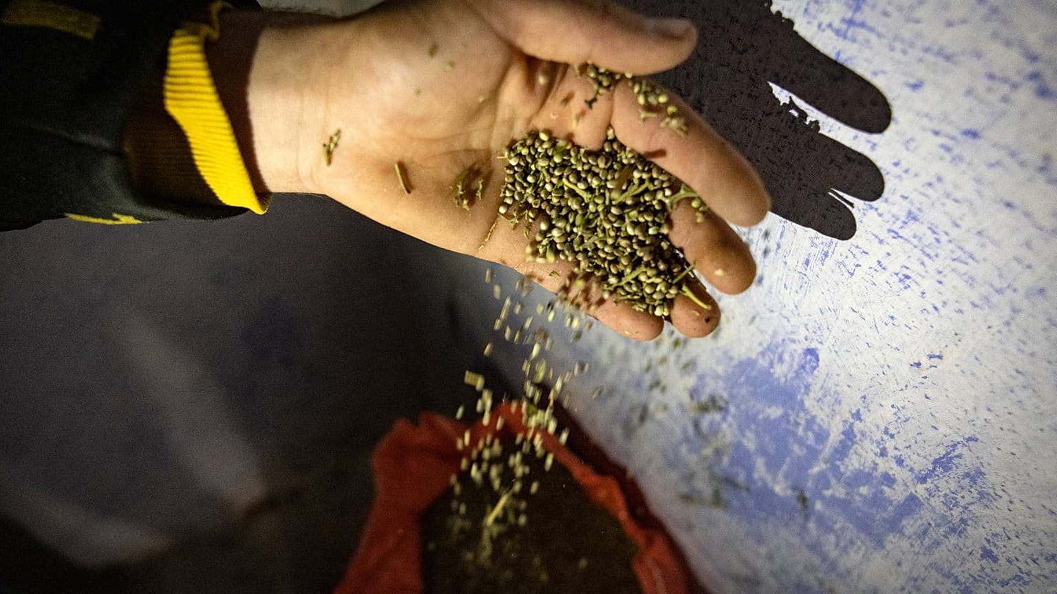 Yunanistan: Kek yapma makinesinde 4 ton uyuşturucu ele geçirildi