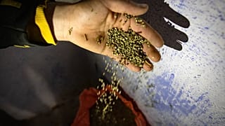 Yunanistan: Kek yapma makinesinde 4 ton uyuşturucu ele geçirildi