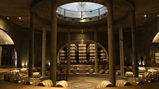 Argentina is now the 5th largest producer of wine in the world.