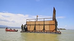 Insel sinkt: Giraffen im Boot abtransportiert