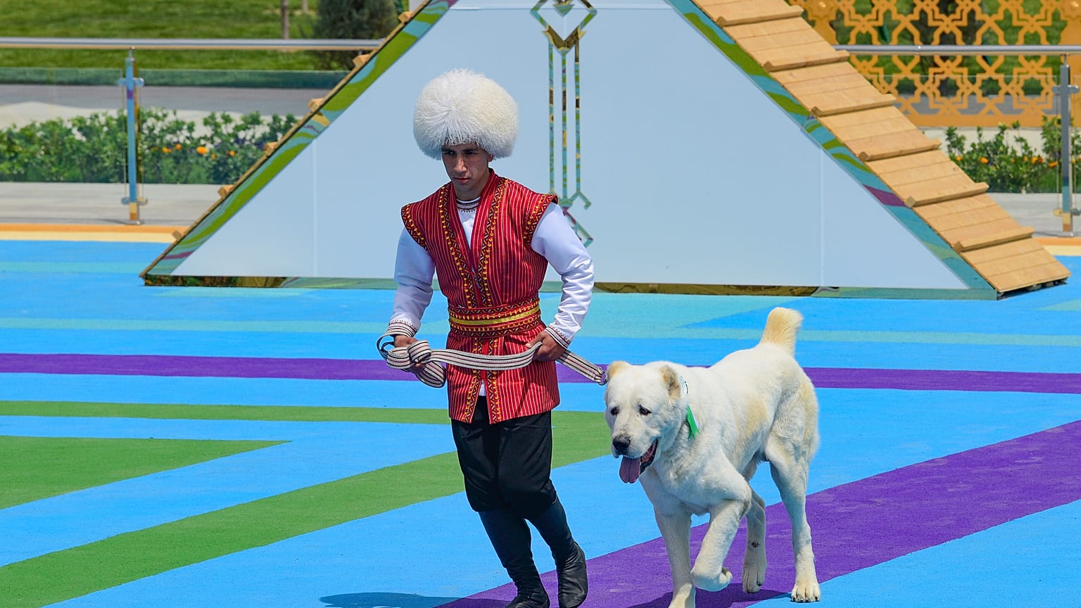 A man dressed in a national costume runs with his border guard shepherd dog Alabay during Dog Day celebration in Ashgabat, Turkmenistan, Sunday, April 25, 2021. 