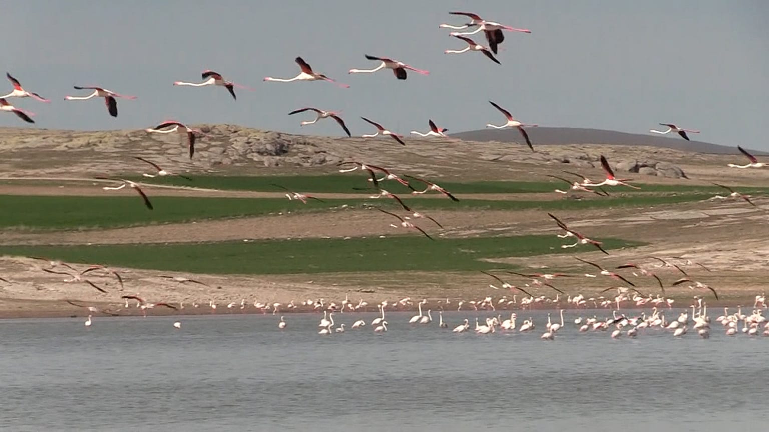 Türkei: Flamingos und die "Weinende Braut" locken Touristen an