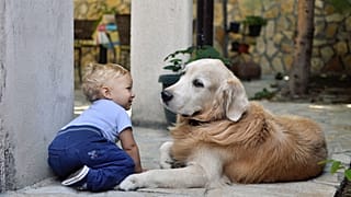 Children and pets increase yearly carbon emissions by up to 58 tonnes