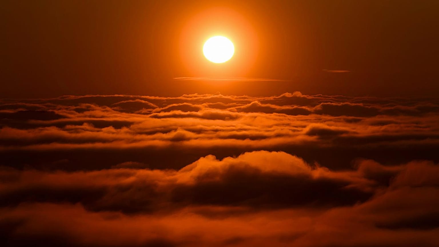 Sun's sister