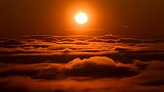 Sun's sister