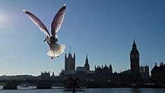 State of the Union: Was nach dem Brexit nur noch besser werden kann