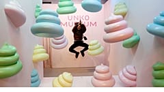 The Unko museum in Japan has one of the weirdest collections in the world. 