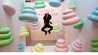 The Unko museum in Japan has one of the weirdest collections in the world. 