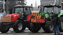 Proteste: Landwirte mit ihren Traktoren vor dem EU-Parlament in Straßburg