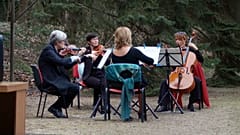 Budapest Festival Orchester