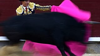 Las Ventas Arenası'nda bir boğa güreşi anı