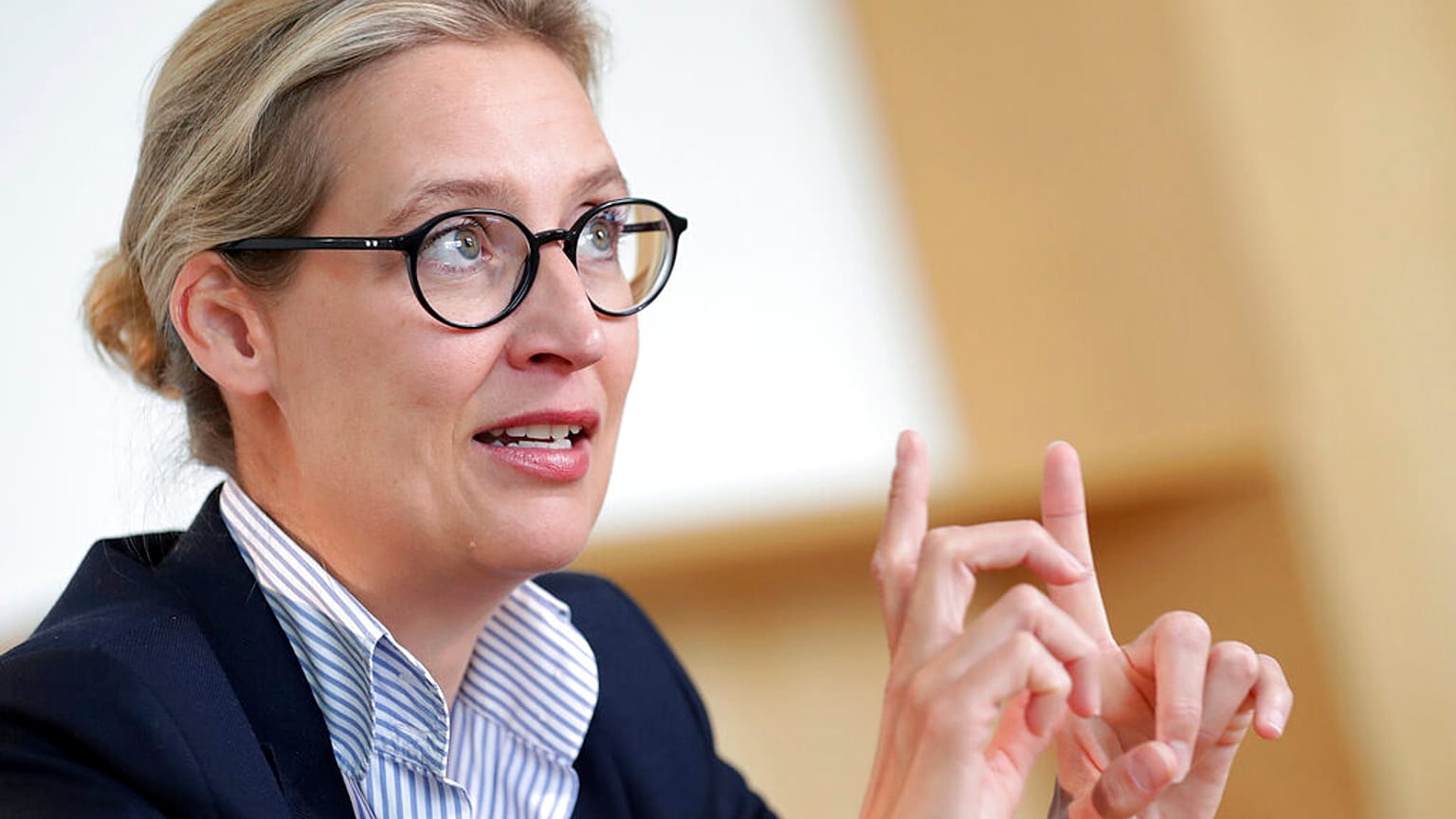 AfD-Fraktionsvorsitzende Alice Weidel - Archiv