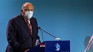 وزير الخارجية المصري سامح شكري 