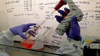 İngiltere'nin başkenti Londra'daki Imperial College'de laboratuvarda Covid-19'a karşı aşı çalışması