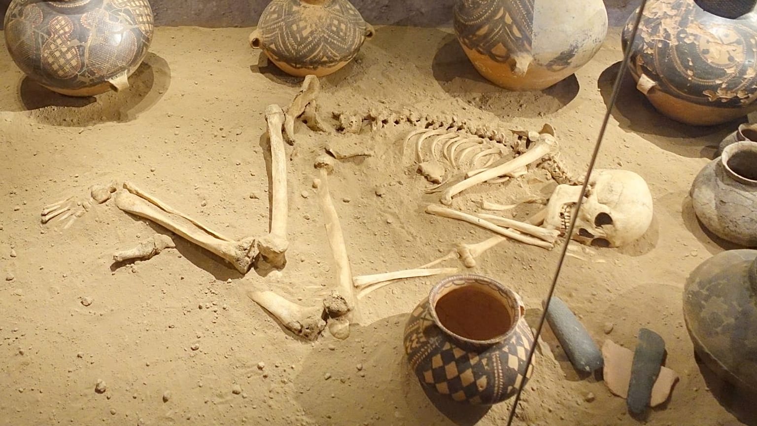 بقایای انسان دفن شده در موزه سوئد