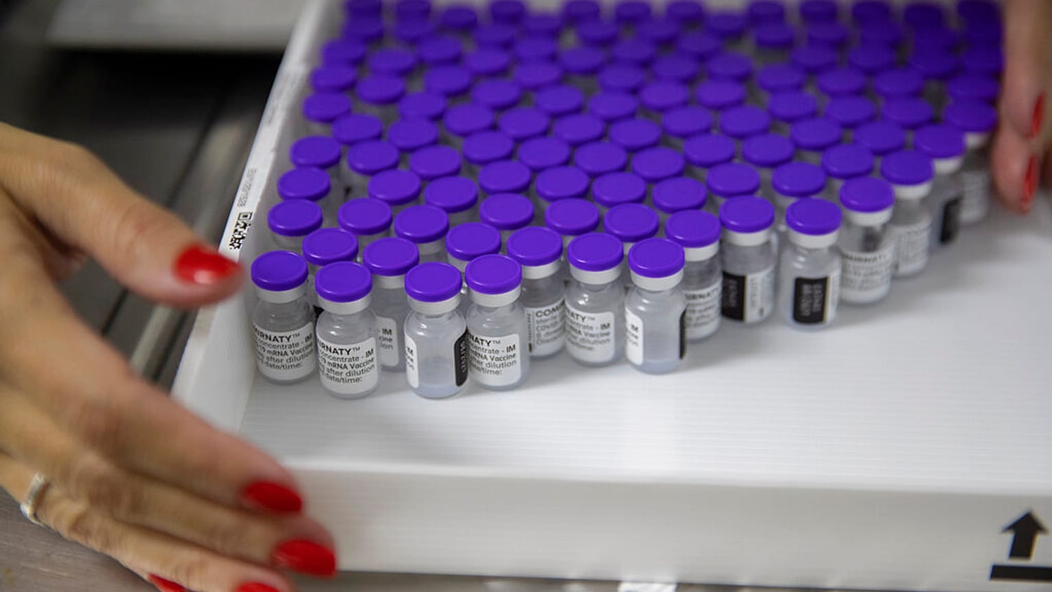 Campagna vaccinale: strategie a confronto. Come si procede in Europa