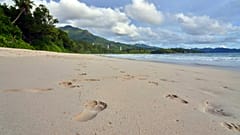 Strand auf den Seychellen