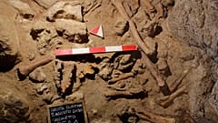 Neandertaller