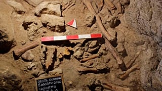 Neandertaller