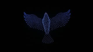 Spectacle de drones au Mémorial de Rzhev