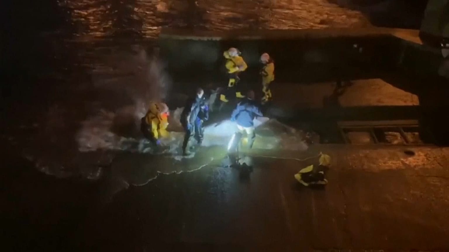 Un ballenato quedó varado en la orilla del Támesis, Londres 9/5/2021