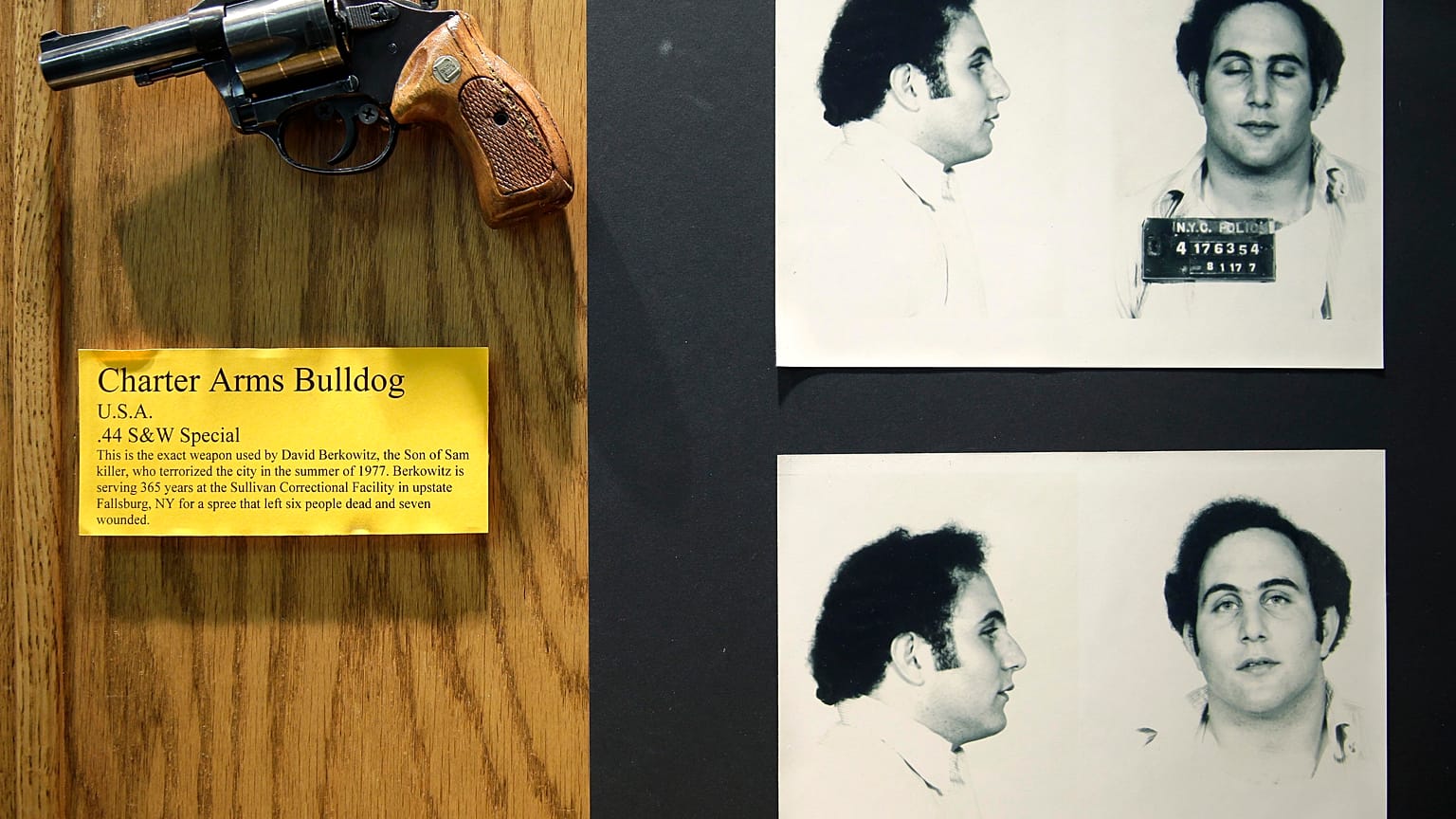 The gun used by David Berkowitz, New York, Tuesday, Dec. 8, 2015. (AP Photo/Seth Wenig)