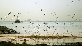الشاطئ اللبناني شمال العاصمة بيروت