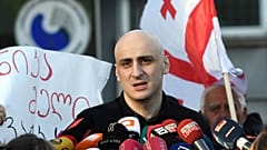 Γεωργία: Απελευθερώθηκε ο ηγέτης της αντιπολίτευσης