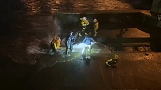 رجال الإنقاذ يحاولون تحرير حوت صغير جنح على ضفاف نهر تيمز بضاحية لندن.
