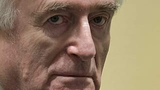 Former Bosnian Serb leader Radovan Karadzic enters the court room of the International Residual Mechanism for Criminal Tribunals in The Hague, Netherlands, Wednesday, March 20