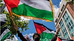فلسطين