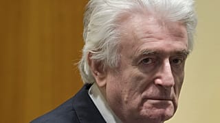 Σε βρετανική φυλακή ο Ράντοβαν Κάρατζιτς