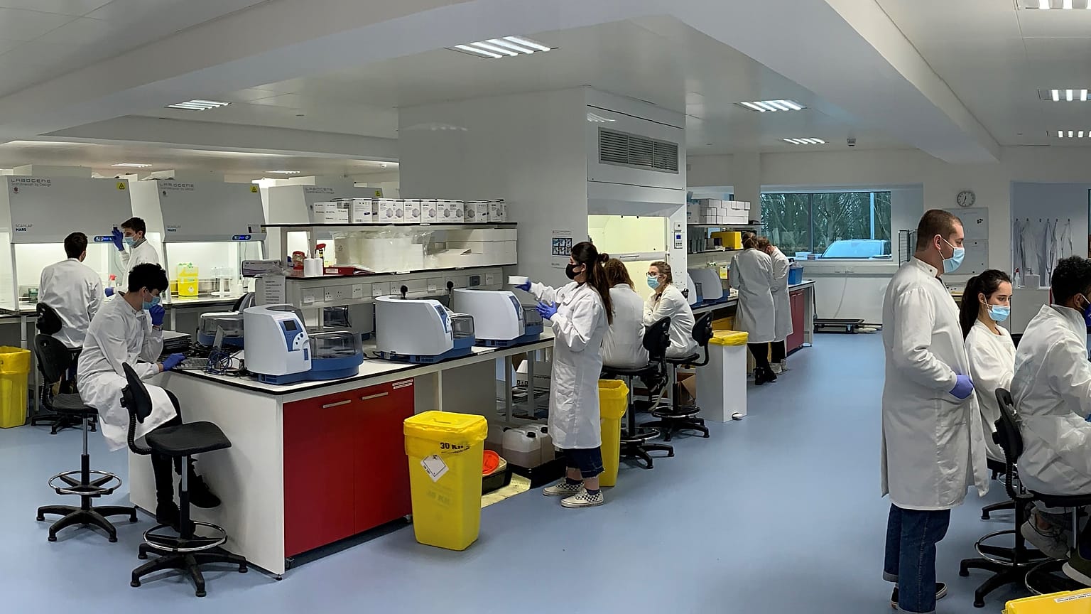 İngiltere'de laboratuvar çalışması 