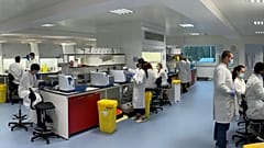 İngiltere'de laboratuvar çalışması 