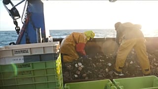Французские рыбаки – жертвы "брексита"