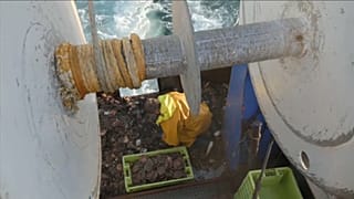 Un pêcheur du navire Le Cap Lihou, le 10 mai 2021.